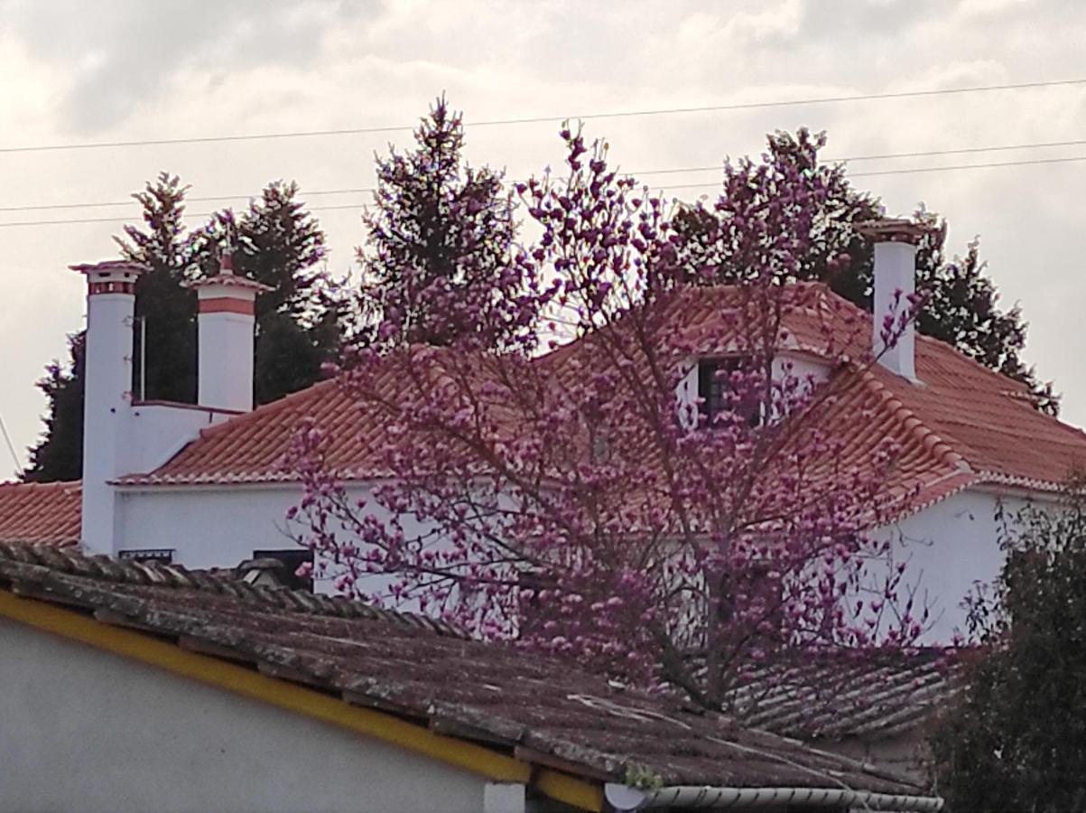 Quinta Do Gestal - Soutelo Vila Verde (Braga)