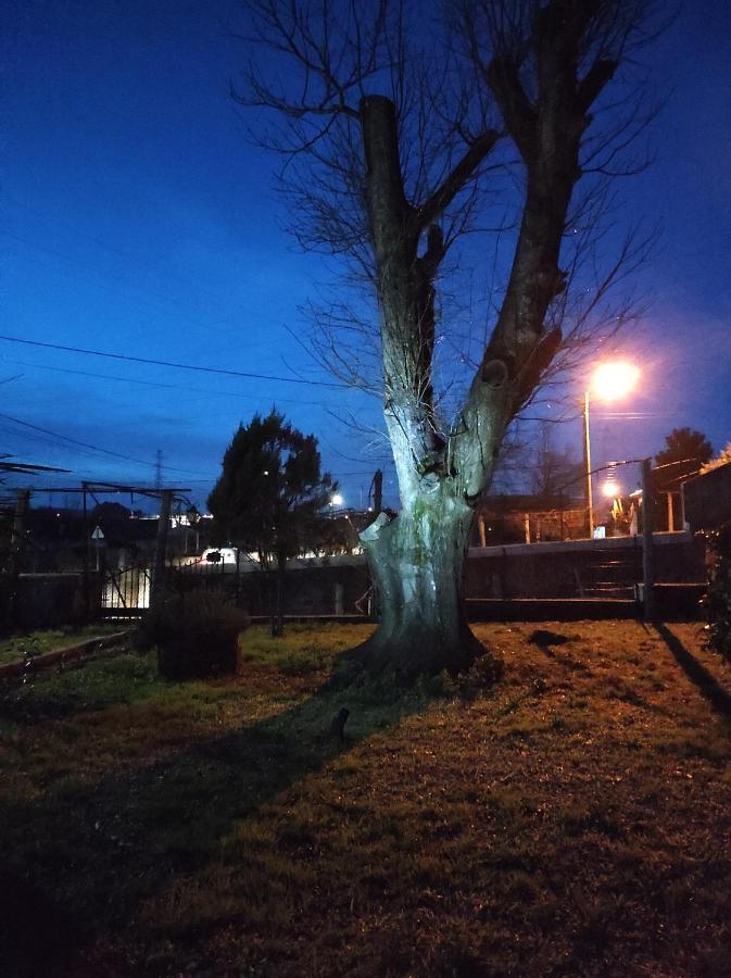 Quinta Do Gestal - Soutelo Séjour chez l'habitant Vila Verde (Braga)