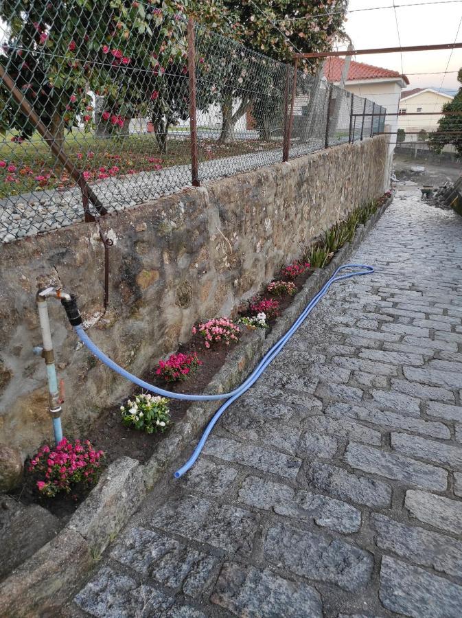 Séjour chez l'habitant Quinta Do Gestal - Soutelo Vila Verde (Braga)