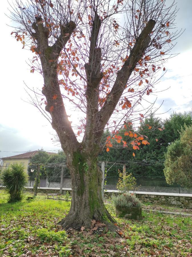 Quinta Do Gestal - Soutelo Quarto em Acomodações Particulares Vila Verde (Braga)