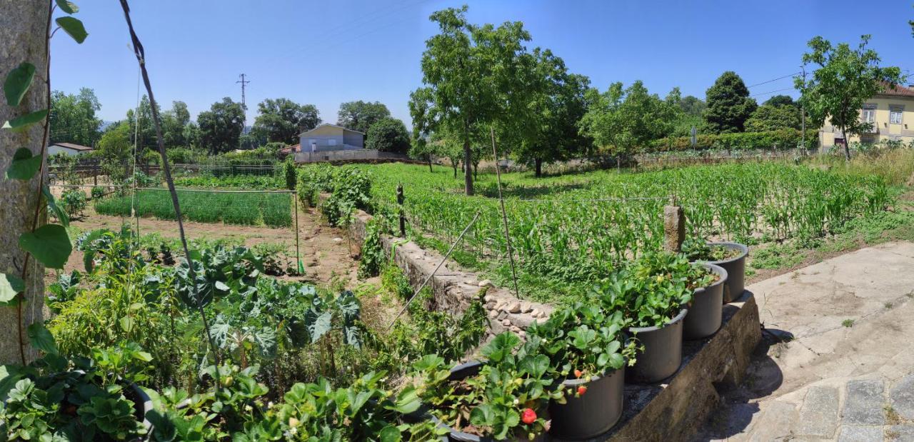Séjour chez l'habitant Quinta Do Gestal - Soutelo Vila Verde (Braga)